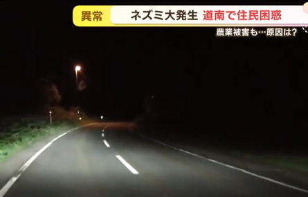 【北海道】ネズミ異常発生！道南の街を席巻…駆除グッズは「爆売れ」 住宅街・農地を脅かす異常事態に記者も悲鳴