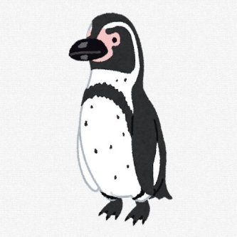 【動画】ペンギンさん「あ、ちょうちょ……」