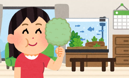 水槽に発生する硬めの糸みたいな苔ってどうしたらいいの？