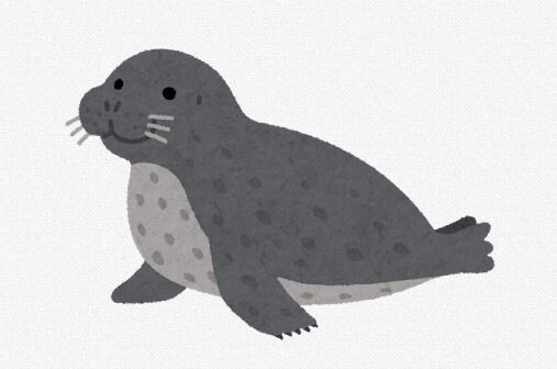 【朗報】アザラシの排泄物から出てきたUSBメモリ、生きていた