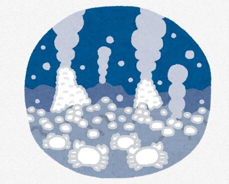 【生物】メタンをぱくぱく食べるウミグモ、海底で初めて見つかる