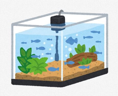 金魚飼うのって、費用どれくらい必要？