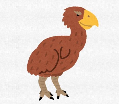 【画像】紀元前に人間が滅ぼした鳥、ガチで強そう