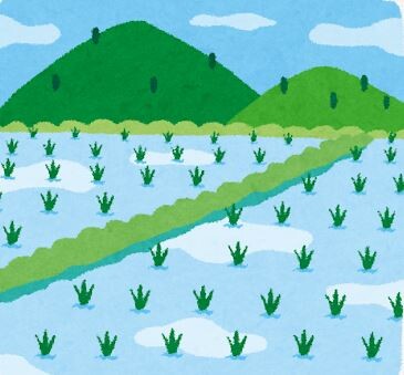 田んぼのザリガニさん暑すぎて稲にしがみつく（画像あり）