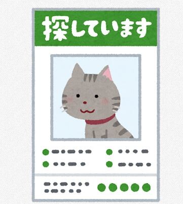 【滋賀】火葬場がペット子猫の死骸を誤って別人に引き渡す　引き取った2人は返却に応じず