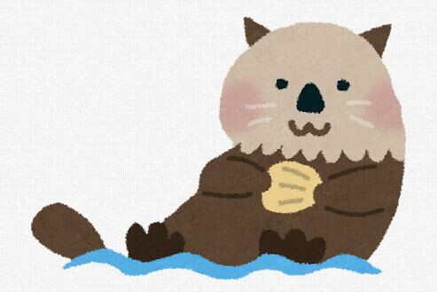 【北海道】ラッコさん、鳥インフルになったりシャチに襲われたり大変　臘虎膃肭獣猟獲取締法で保護捕獲できず