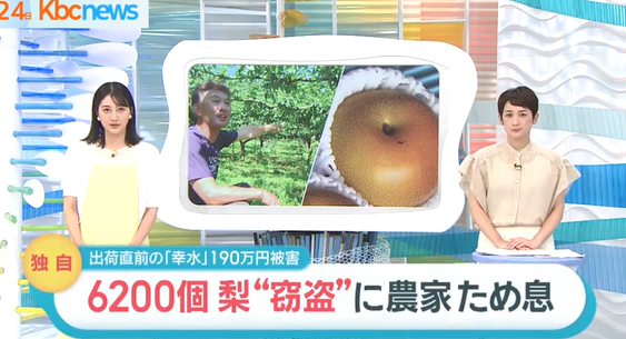 ナシ６２００個盗まれる  うきは市