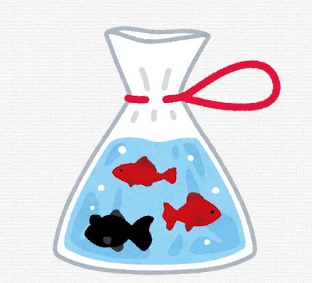 金魚って見た目と違って獰猛なのな。同じ水槽にメダカを入れたら全部食われた。