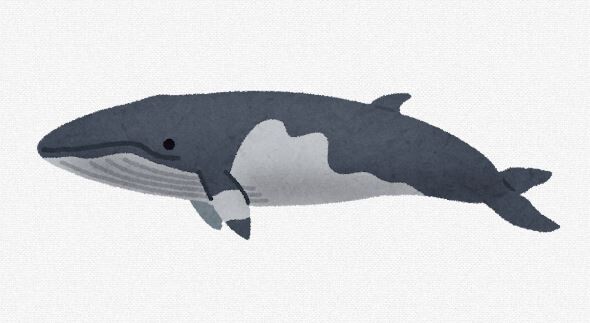 小学校でクジラの肉出てきたやつｗｗｗｗｗｗｗｗｗｗｗｗｗｗｗｗｗｗ