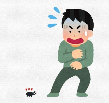 フィリピン固有のゴキブリ、沖縄・西表島で発見