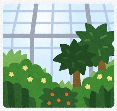 【バイカルハナウド】“世界で最も危険な植物”、結構繁殖してるっぽい