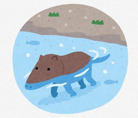 大昔にイルカとかクジラが陸にいたってほんとかな？怪しくね？