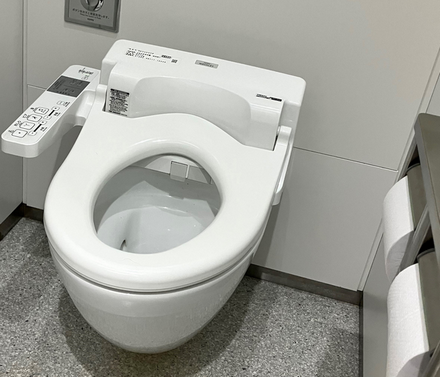 【戦慄の実験結果！】排便後に洗浄機を使わずトイレットペーパーだけで拭き取ると「手指に細菌とウイルスがベットリ」