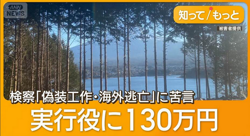【甲府地裁】“勝手に樹木伐採”初公判　中国人被告「日本国籍を取得したい」と情状酌量を求める