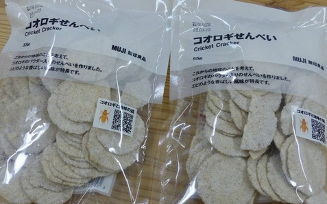 【昆虫食】コオロギ食はなぜ嫌われたのか。科学では超えられない「食の抵抗感」