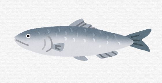 【魚】若いニシンの産卵場所離れが深刻　高齢ニシン激減で産卵場所を教えてもらえず
