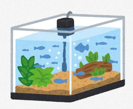 ペットショップで骨みたいな魚おったけどあれなんやったんやろ