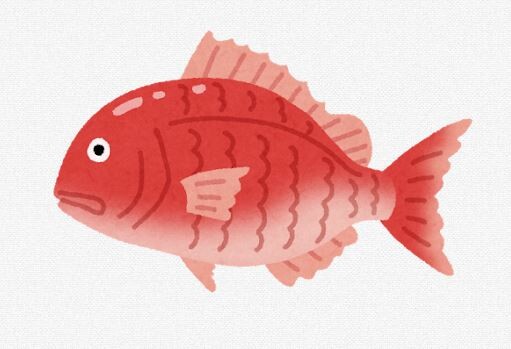 高級魚・マダイがホタテ喰いまくりで大変なことに・・・　青森