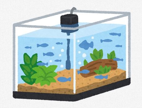 グラミーの稚魚が孵化したから、スポイトで吸って水槽中にまき散らしてみたら
