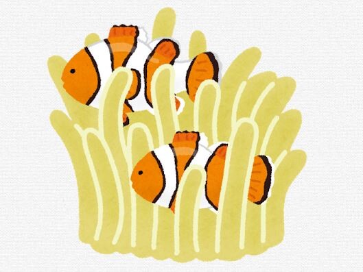 海水始めようと思う　とりあえずライブロックってやつ入れればいいよな？