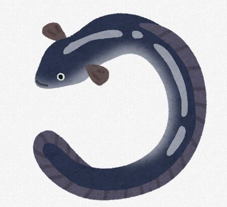 【悲報】天然ウナギ、あんまり美味しく無かった