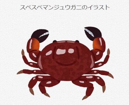スベスベマンジュウガニって名前のインパクトでウケただけやろ