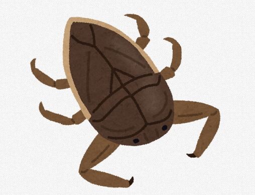 【速報】タガメのサイダー
