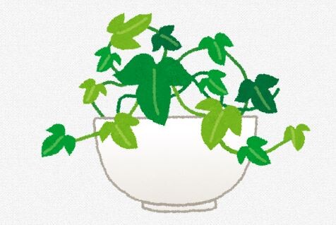 水槽の水で観葉植物育てると、成長がとんでもないことになるよな