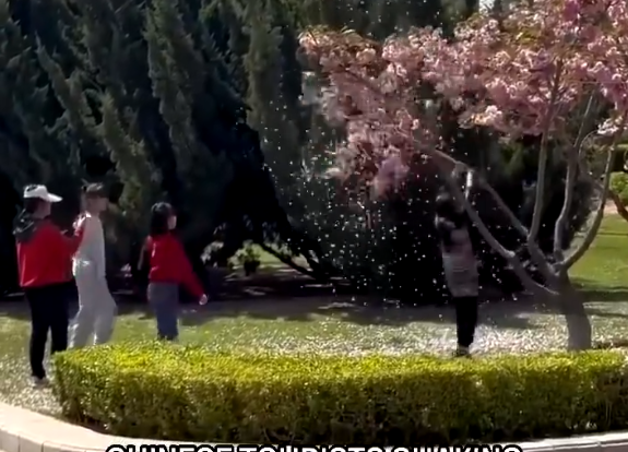 【動画】中国人観光客のマナーの悪さに他の外国人旅行客がキレる