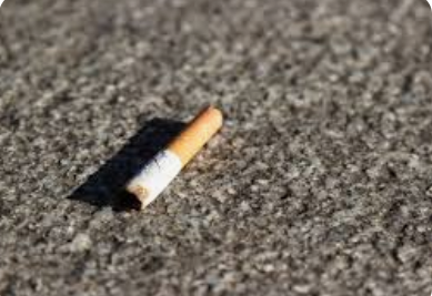 【北海道】「吸い殻をポイ捨てするマナーの悪い車がいる」110番通報がきっかけ…事情聴いた中国籍の49歳の女から基準値2倍以上のアルコール　酒気帯び容疑は否認