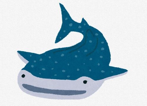 ジンベエザメ・10代目ユウユウ死ぬ　いけすの網に絡まる　海に返される間際