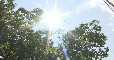 【酷暑】昨日は群馬県・伊勢崎市で41.8℃を観測　国内歴代最高気温を更新　今日も暑い