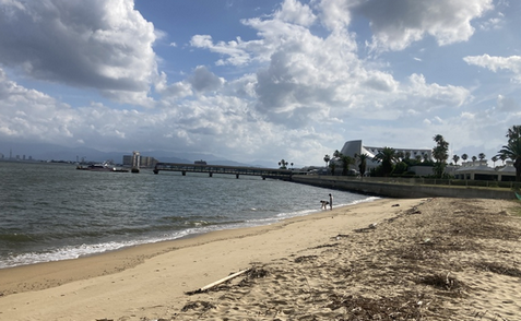 【福岡】砂浜で人の右足見つかる　成人のものとみられる　太ももの付け根からちぎれたような断面