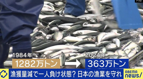 【漁業】25年後、日本に魚がいなくなる？国内漁業の危機的状況に専門家が警鐘「資源管理ができてない」「補助金で休んでもらった方が漁業は復活する」40年間で漁獲量は1/3に激減