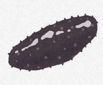 ナマコ漁をしていたら不発弾のようなもの2発　北海道稚内