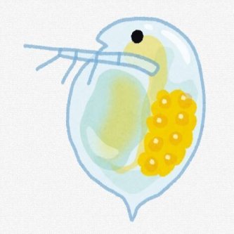 【動画】最強生物ミジンコ、敵を感知すると角を生やして臨戦態勢を取る