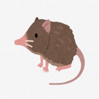国内では北海道だけに生息する「トウキョウトガリネズミ」　展示会が開催される