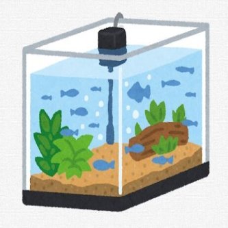 最寄りのドンキからアクア用品売り場が完全に消えてしまった・・・