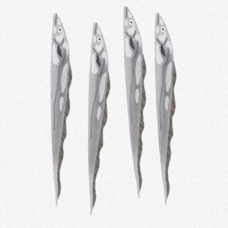 タチウオって秋田では喜ばない魚だが関東では喜ぶんだな