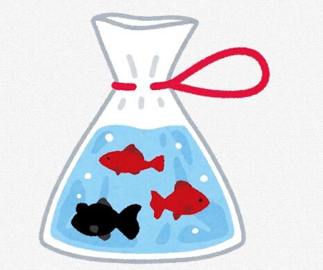 金魚の様子がおかしいんやが