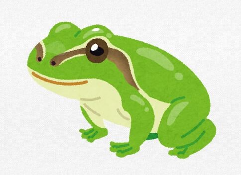 カエルの画像見る←かわいい  実際にカエルを見る←うわっ…