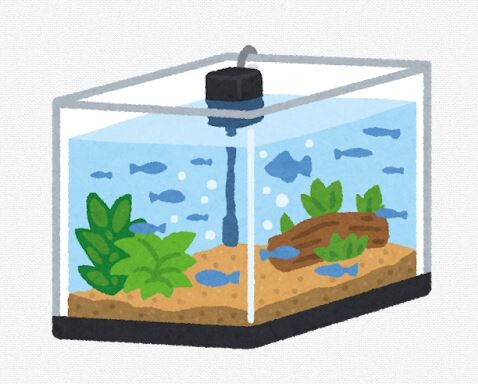 アクア民ってだいたい水槽何個持ってるんや？