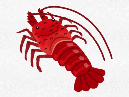 【画像】海外で取れた超巨大エビデカすぎワロタwwwwwwww