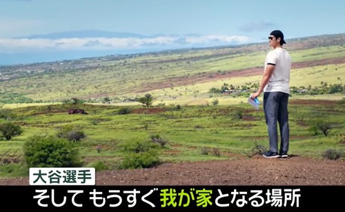 ハワイ別荘訴訟に巻き込まれた大谷翔平、おかしなビジネスに利用されてる？と話題に