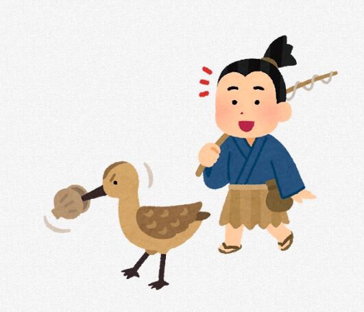 伊勢の海でいったい何が…　ハマグリの漁獲量が急増　アサリは5年連続で水揚げがなく