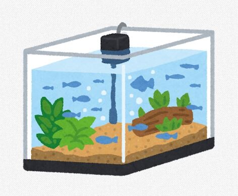 【悲報】水槽から特定の魚だけ捕獲、難しすぎる・・・