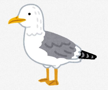 【動画あり】酔っぱらった女性、カモメを捕獲し帰宅 → 鳥インフルエンザに感染