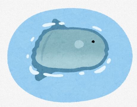 海外メディア「日本の水族館ではマンボウが寂しくて体調を崩しました。」