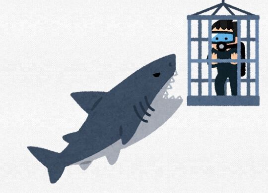 三大 間違って覚えてる名前「ホオジロザメ」「オラウータン」