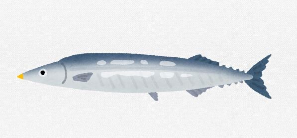 サンマの刺身って食べたいよな？